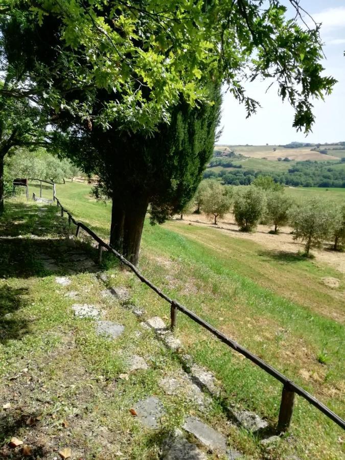 Agriturismo Podere Cherzo Cinigiano Екстериор снимка