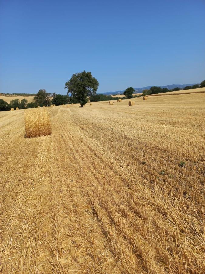 Agriturismo Podere Cherzo Cinigiano Екстериор снимка