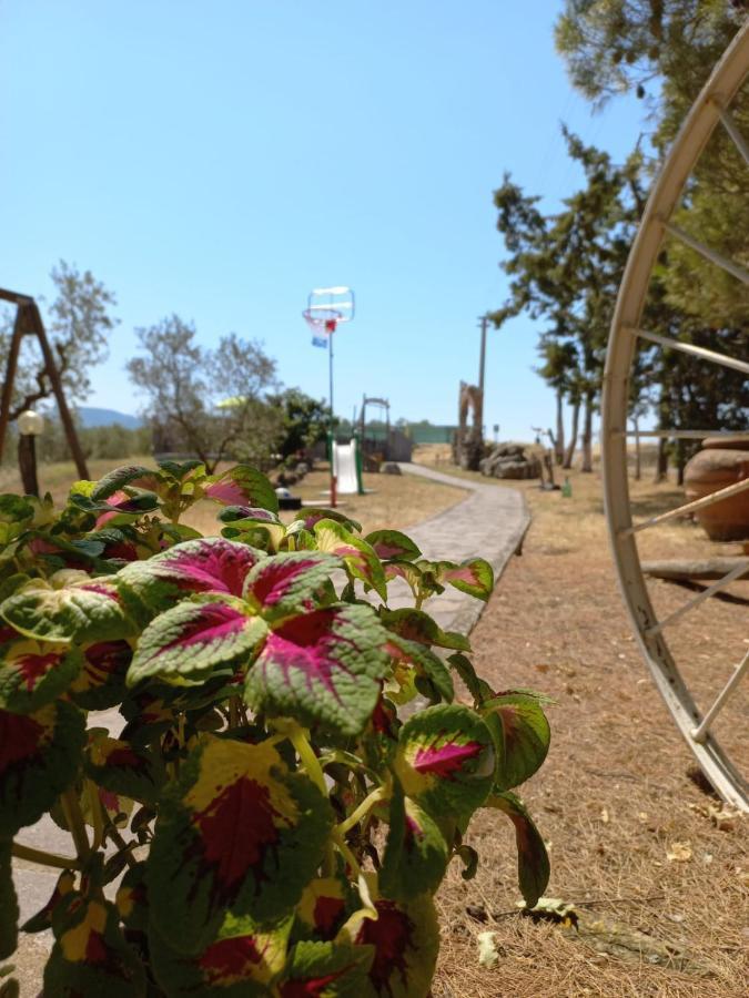 Agriturismo Podere Cherzo Cinigiano Екстериор снимка