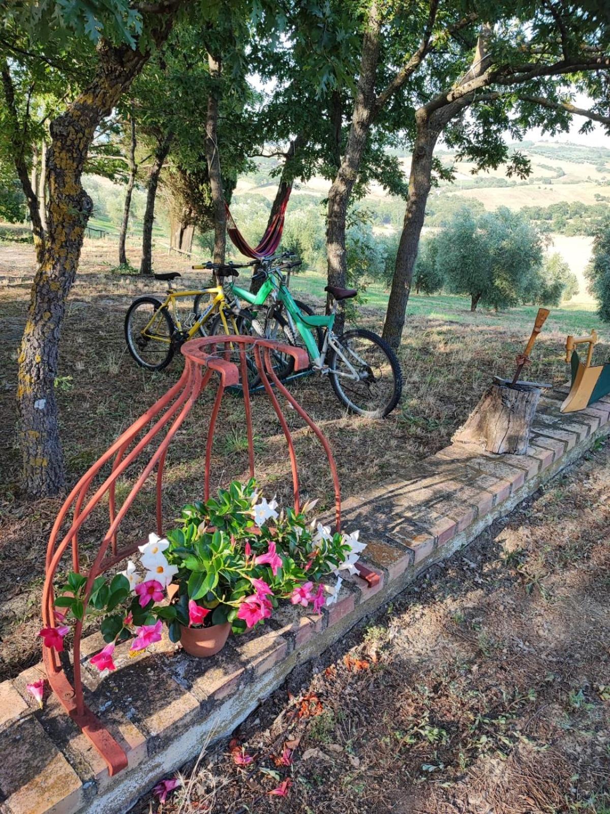 Agriturismo Podere Cherzo Cinigiano Екстериор снимка
